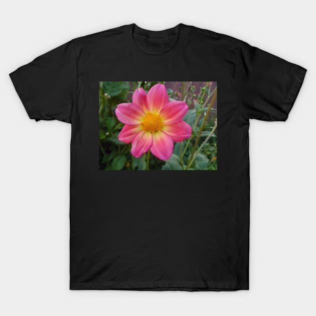 Center of Attention T-Shirt by Mzzart